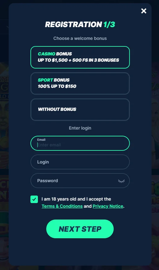 PlayZilla Casino Register Window